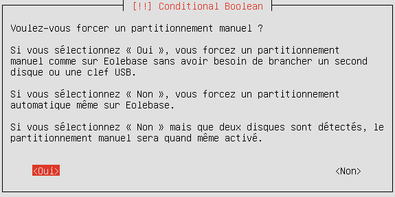 Forcer le partitionnement manuel en répondant oui à la question