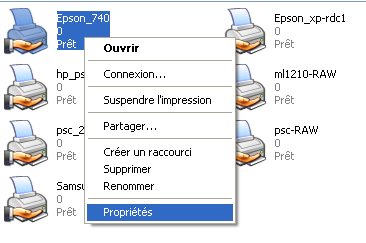 Propriété de l'imprimante sous Windows