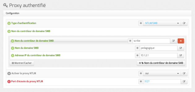 Vue de l'onglet Proxy authentifié dans l'interface de configuration du module