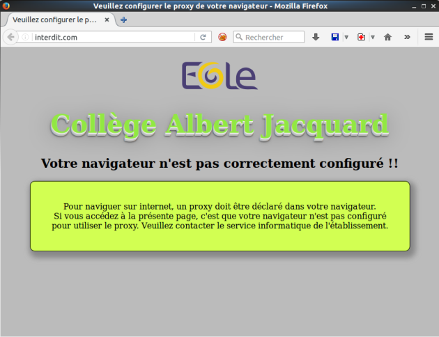 Page d'erreur renvoyée par Nginx en cas de proxy non configuré