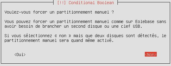 Forcer le partitionnement manuel en répondant oui à la question